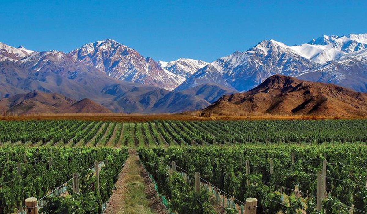 Vinos por Pasaje De La Reta